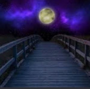 Meet your Posher, Danger